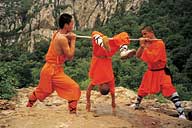 Shaolin Wheel Of Life Monks fingers