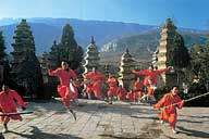 Shaolin Wheel Of Life Monks scatter