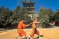 Shaolin Wheel Of Life Monks stick